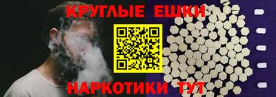 прущие грибы Северобайкальск