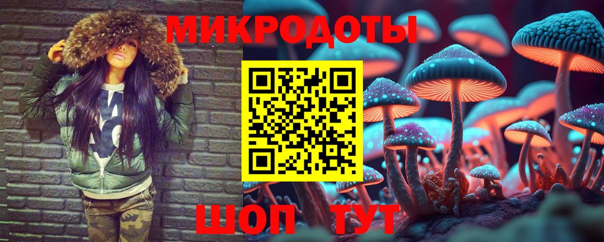 Псилоцибиновые грибы Psilocybe  Вход с VPN  Саянск 