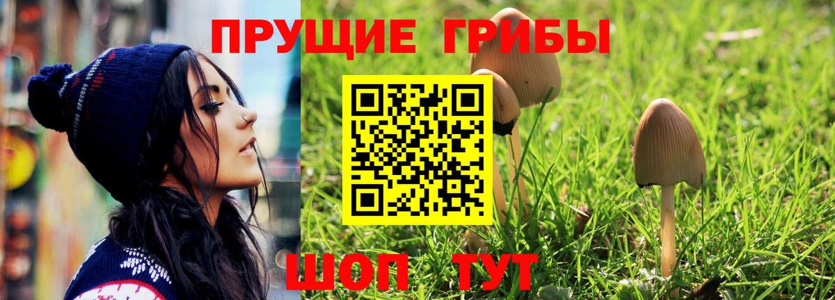 Меф Саянск